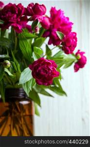 beautiful pink peonies in a vase, close up