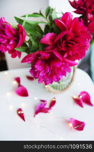 beautiful pink peonies near the window, petals crumble on the table with lights.. beautiful pink peonies near the window, petals crumble on the table with lights