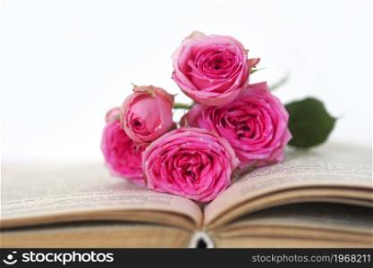 beautiful pink peony rose buds on an open old book. copy space.
