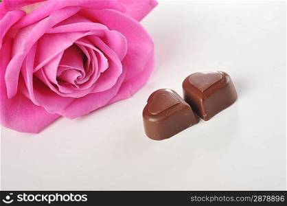 beautiful pink rose and chocolate isolated close up