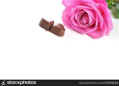 beautiful pink rose and chocolate isolated close up