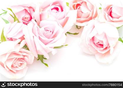 Beautiful pink rose flower, isolated on white background