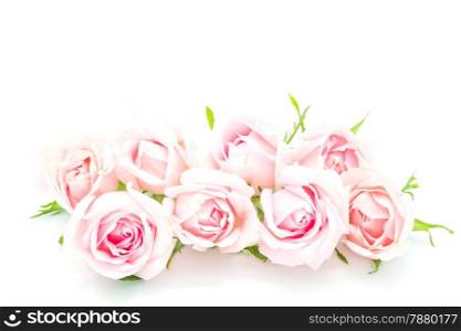 Beautiful pink rose flower, isolated on white background