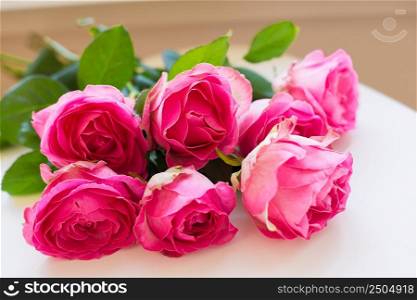 beautiful pink rose lie on white table, close-up. beautiful pink rose