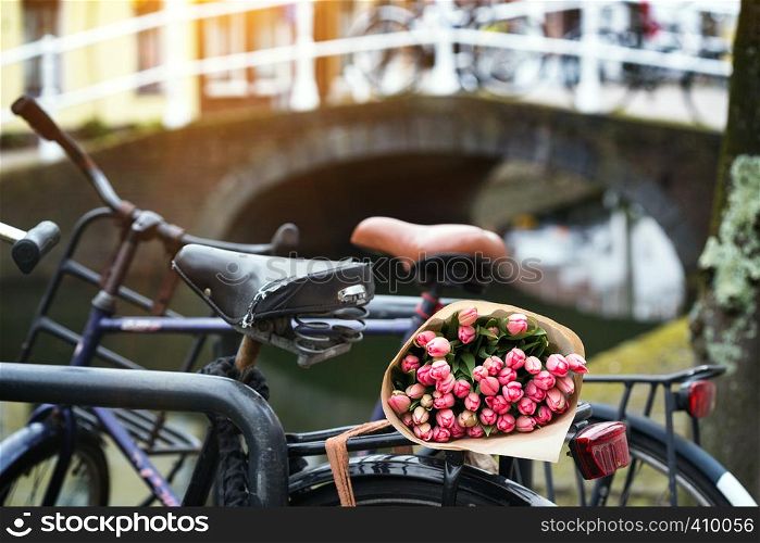 beautiful pink tulips on a old bike at the Amsterdam