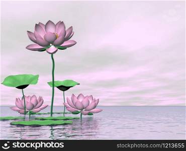 Beautiful pink water lilies and lotus flowers with leaves by cloudy sunset light. Pink waterlilies and lotus flowers - 3D render