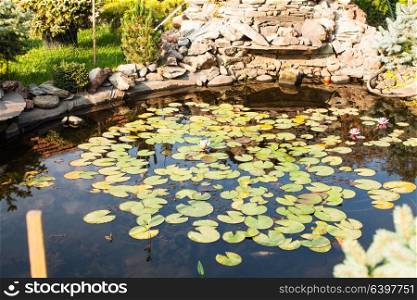 Beautiful pond with waterlily, landscaping and rockery garden. Garden pond landscaping