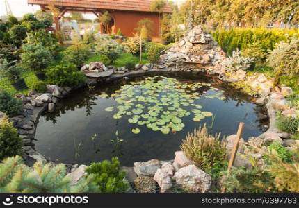 Beautiful pond with waterlily, landscaping and rockery garden. Garden pond landscaping