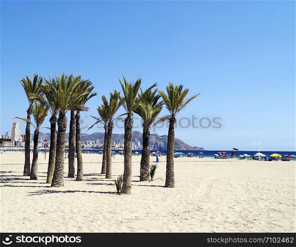 Beautiful Poniente beach in Benidorm, Spain