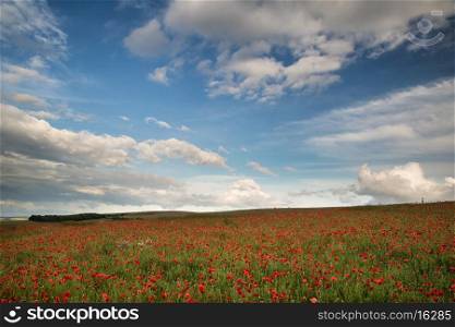 Beautiful poppy field landscape during Summer sunset with dramatic sky