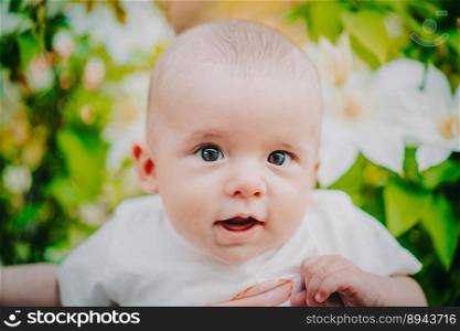 Beautiful portrait of little baby boy on flowers bush background. Child in spring blossom. Cute newborn son smiling. Beautiful portrait of little baby boy on flowers bush. Child in spring blossom