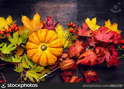 Beautiful pumpkin on colorful autumn leaves, dark wooden background, top view