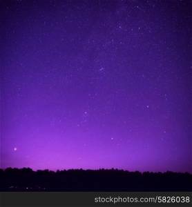 Beautiful purple night sky with many stars above the forest. Milkway space background