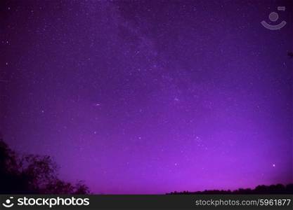 Beautiful purple night sky with many stars above the forest. Milkyway space background