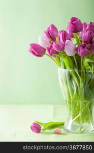 beautiful purple tulip flowers in vase