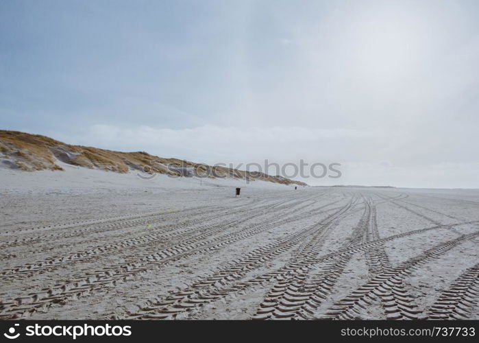 Beautiful, quiet and relaxing dune landscape with long, endless beach on the island of Amrum in the North Sea, Schleswig-Holstein, Germany