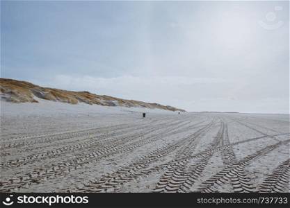 Beautiful, quiet and relaxing dune landscape with long, endless beach on the island of Amrum in the North Sea, Schleswig-Holstein, Germany