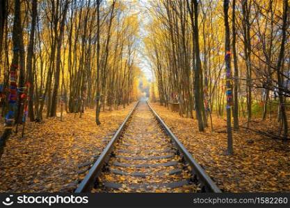 Beautiful railroad in autumn forest at sunset. Industrial landscape with railway station, trees with colorful orange and yellow leaves in fall. Old railroad in Tunnel of Love in Ukraine. Beautiful railroad in autumn forest at sunset. Industrial