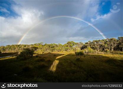 Beautiful rainbow over the horizon of rainforest in Tasman peninsular in Tasmania, Australia.