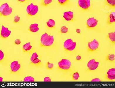 Beautiful red bougainvillea flower on yellow background. Top view