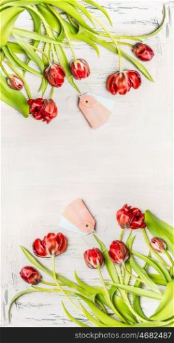 Beautiful red curved tulips with tags on white wooden background, top view, vertical floral border. Spring flowers concept