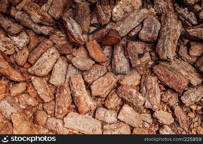 Beautiful Red Dry cracked rock texture background, red texture of bark