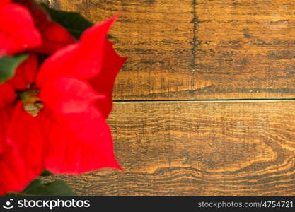 Beautiful red poinsettia on wooden background.