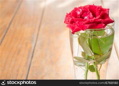 Beautiful red rose on wooden table, stock photo