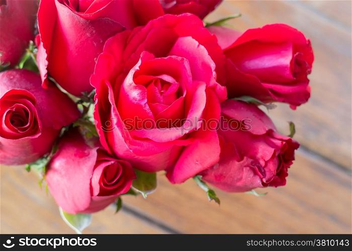 Beautiful red rose up close, stock photo