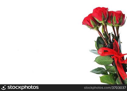 beautiful red roses isolated on white