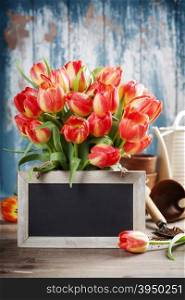 Beautiful red tulips bouquet and garden tools on wooden table