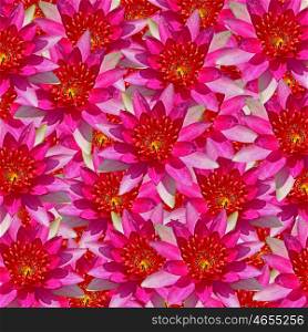 Beautiful red waterlily flower, abstract texture background