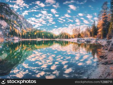 Beautiful reflection in Braies lake at sunrise in autumn in Dolomites, Italy. Landscape with mountains, blue sky with clouds, water, stones, trees with colorful leaves. Lake in fall. Panorama. Nature