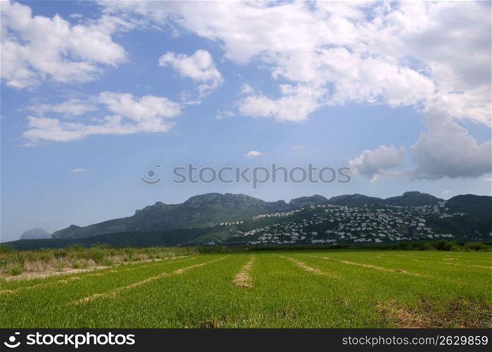 Beautiful rice fields wetlands mountain