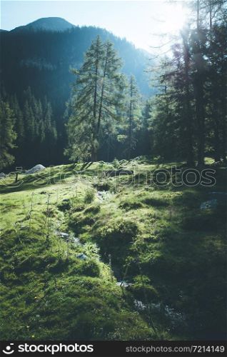 Beautiful river and forest landscape in the Alps, Austria