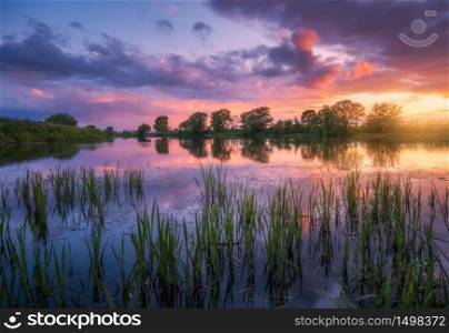 Beautiful river coast at sunset in summer. Colorful landscape with lake, green trees and grass, blue sky with multicolored clouds and orange sunlight reflected in water. Nature. Vibrant scenery