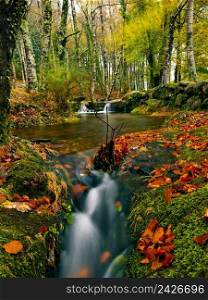 Beautiful river flowing by the forest during the Autumn season 