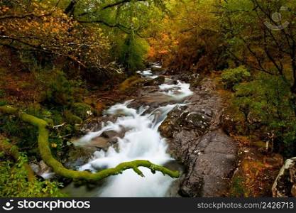 Beautiful river flowing by the forest during the Autumn season 