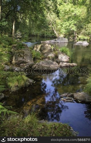 Beautiful river flowing through forest landscape in Summer