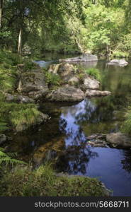 Beautiful river flowing through forest landscape in Summer