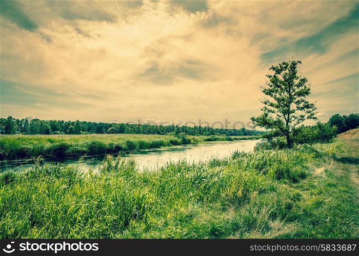 Beautiful river landscape with a lonely tree