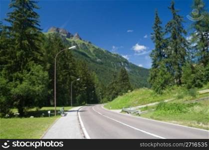 beautiful road between trees and mountains on background in italian alps