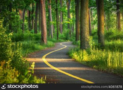 Beautiful road in green forest at sunset in summer. Colorful landscape with woods, bike road, green trees, grass at sunny evening. Nature. Walkway in blooming park park in Bucha, Ukraine before war.
