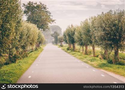 Beautiful road surrounded by green trees in Marken the Netherlands