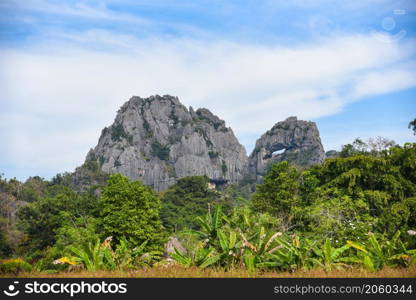 beautiful rocky mountains on blue sky background, nature stone mountains with plant tree in the park