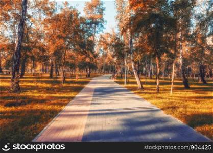 Beautiful romantic alley in a park with colorful trees, autumn landscape