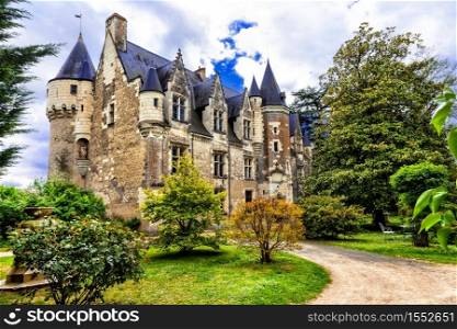 Beautiful romantic castles of Loire valley - Montresor chateau. Famous castles and landmarks of France. Romantic castles of Loire Valley - Montresor. landmarks of France and historic monuments