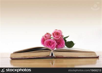 beautiful rose flowers on an open old book on a wooden table. copy space.