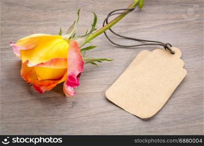 beautiful rose with a blank price tag against grained wood