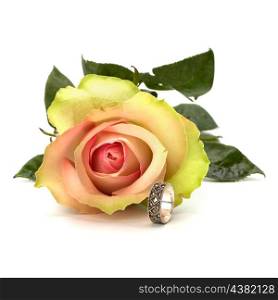 Beautiful rose with wedding ring isolated on white background